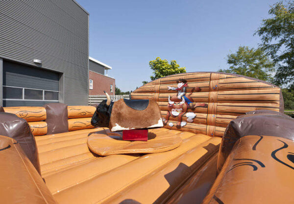 Mechanical Bull - Image 2